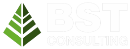 BST Consulting